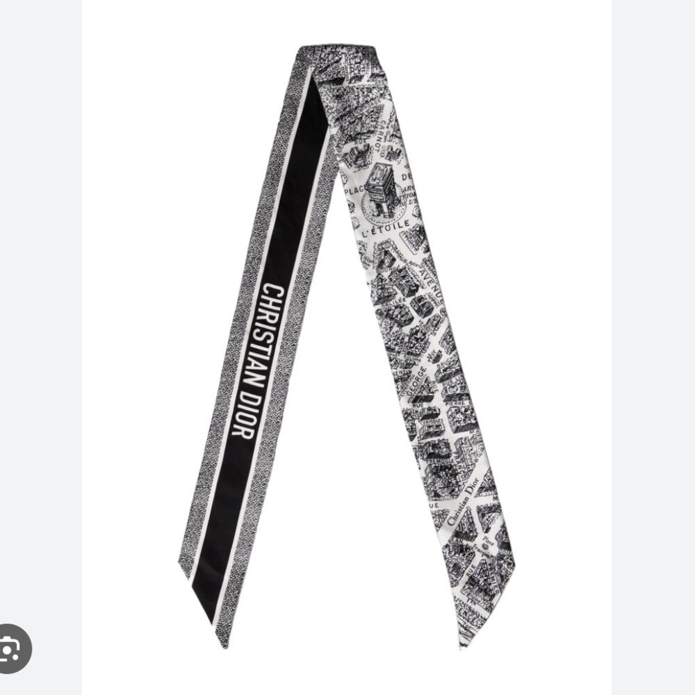 Christian Dior Plan de Paris Mitzah Silk Scarf
